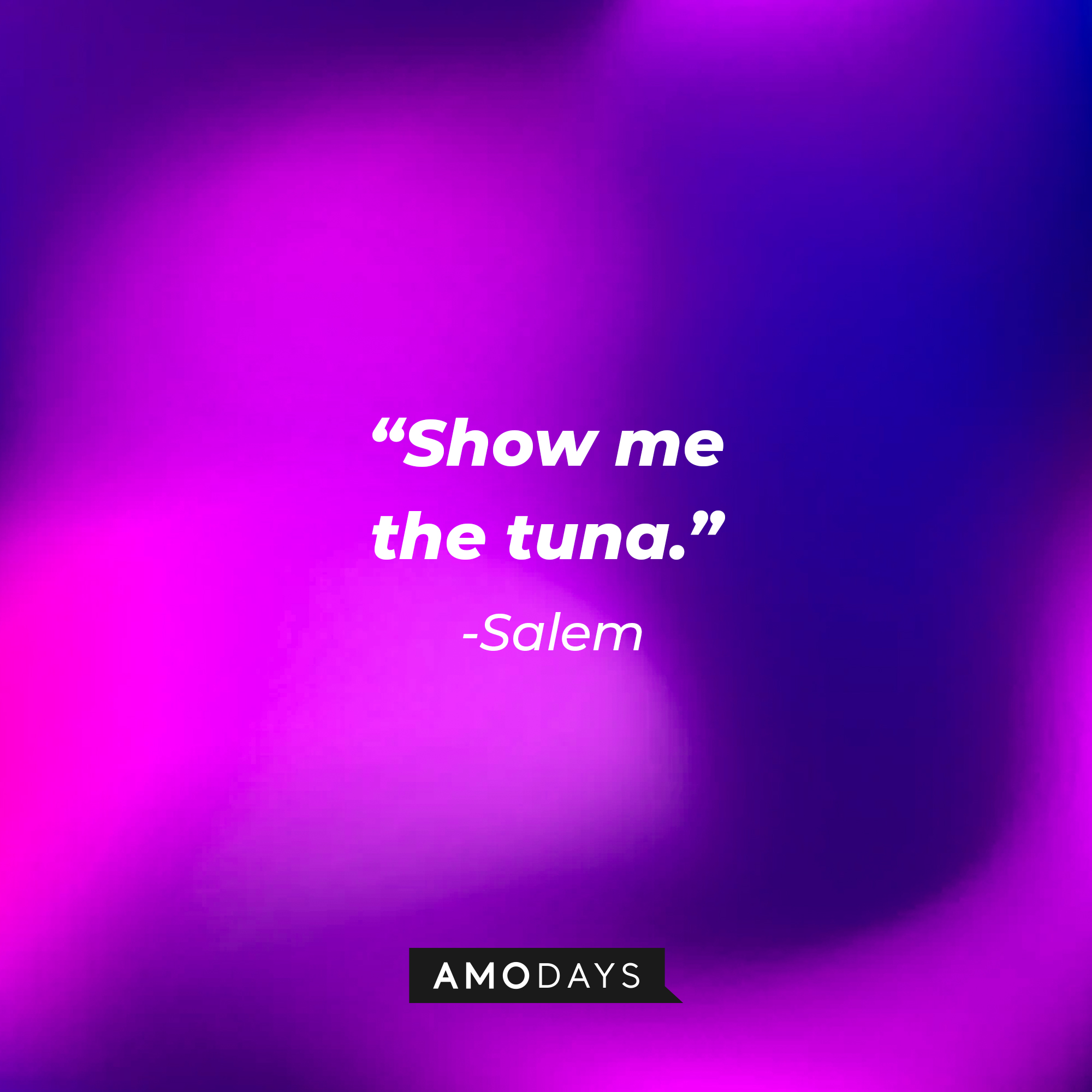Salem's quote: “Show me the tuna.” | Source: AmoDays