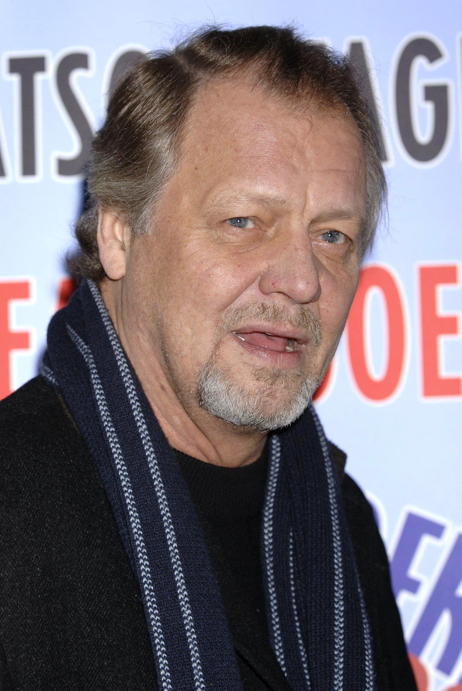 David Soul at the Theatregoers' Choice Awards in London on November 30, 2005 | Source: Getty Images