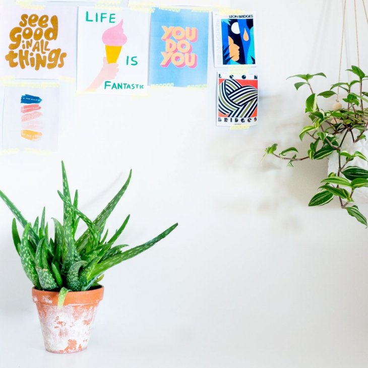 Photo by Fiona Smallwood on Unsplash
