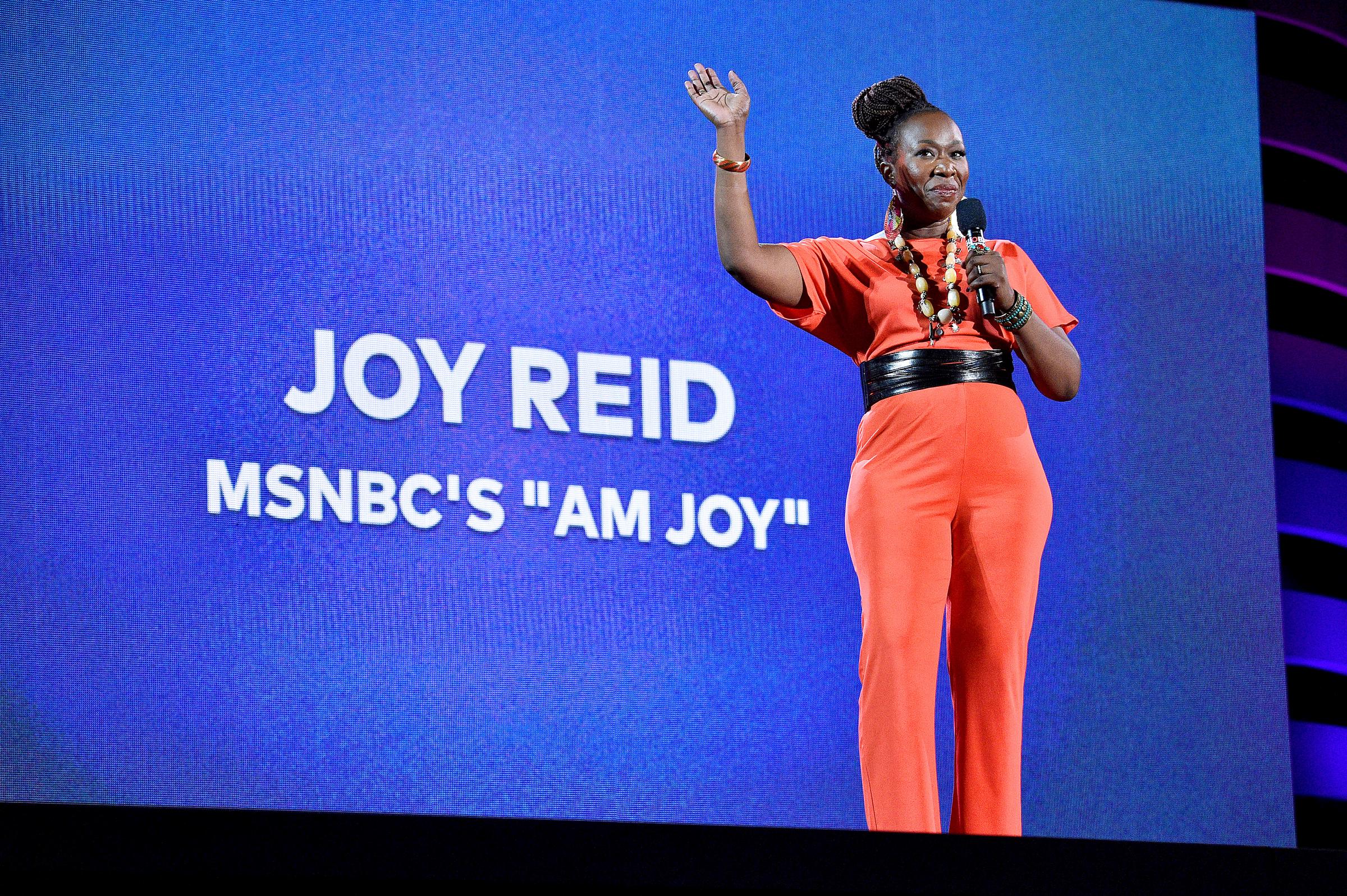 Joy Reid speaks onstage during the 2019 Global Citizen Festival: Power The Movement in Central Park in New York City, on September 28, 2019 | Source: Getty Images