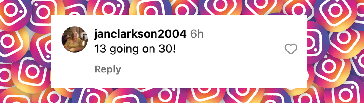 A netizen's comment on Harper Beckham's silky pink dress posted on September 2024 | Source: Instagram/hellocanadamag