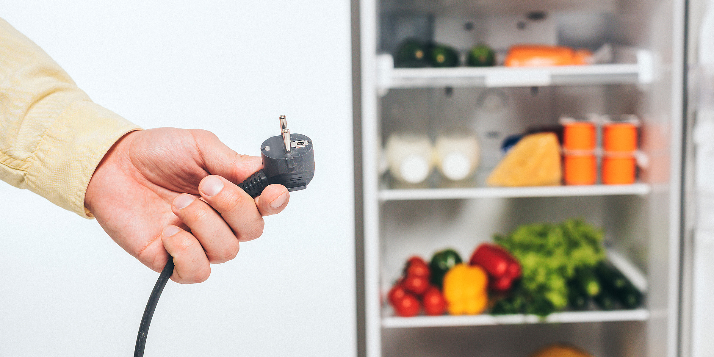 A person holding a plug | Source: Shutterstock