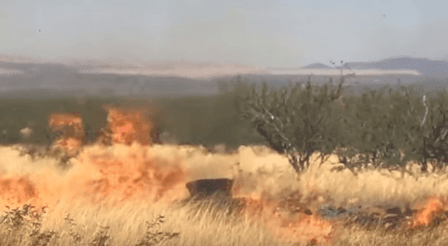 Source: YouTube/ Arizona Daily Star
