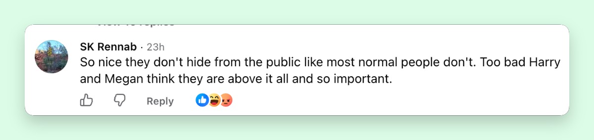 Fans take sides in the royal social media showdown — Some supporters applauded the Waleses for staying connected with the public, using the post to criticize the Sussexes. | Source: Facebook/pagesix
