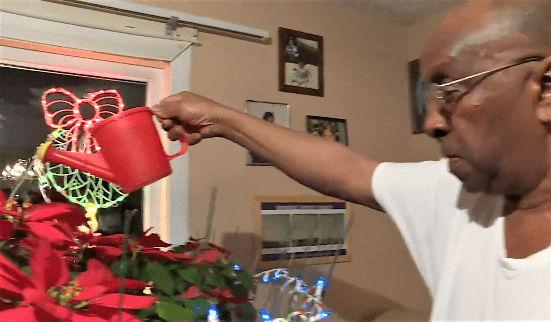 Frankie Allison watering the poinsettia plant.┃Source: facebook.com/cbcnews