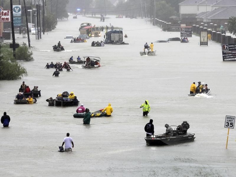 Image credits: David J. Phillip/AP Image credits: David J. Phillip/AP