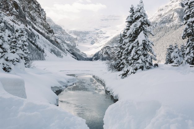 Source: Freepik Source: Freepik