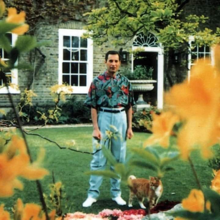 One of the last pictures of Freddie Mercury, captured by his partner Jim Hutton at Garden Lodge on August 28, 1991, and shared on June 27, 2024 | Source: Instagram/90sanxiety