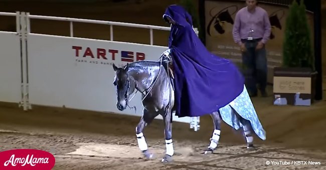 Woman rides into arena and gives incredible 'Frozen' equestrian performance