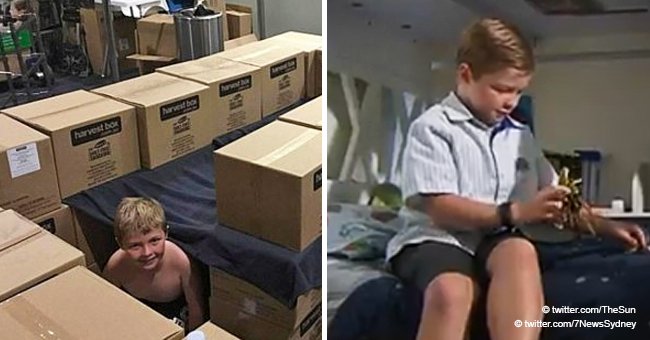 Mom Outraged at Son Being Forced to Sleep in Cardboard Box at Airport While Flying Unaccompanied