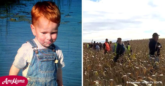 3-year-old boy goes missing, so more than 600 volunteers take to the cornfields to search 