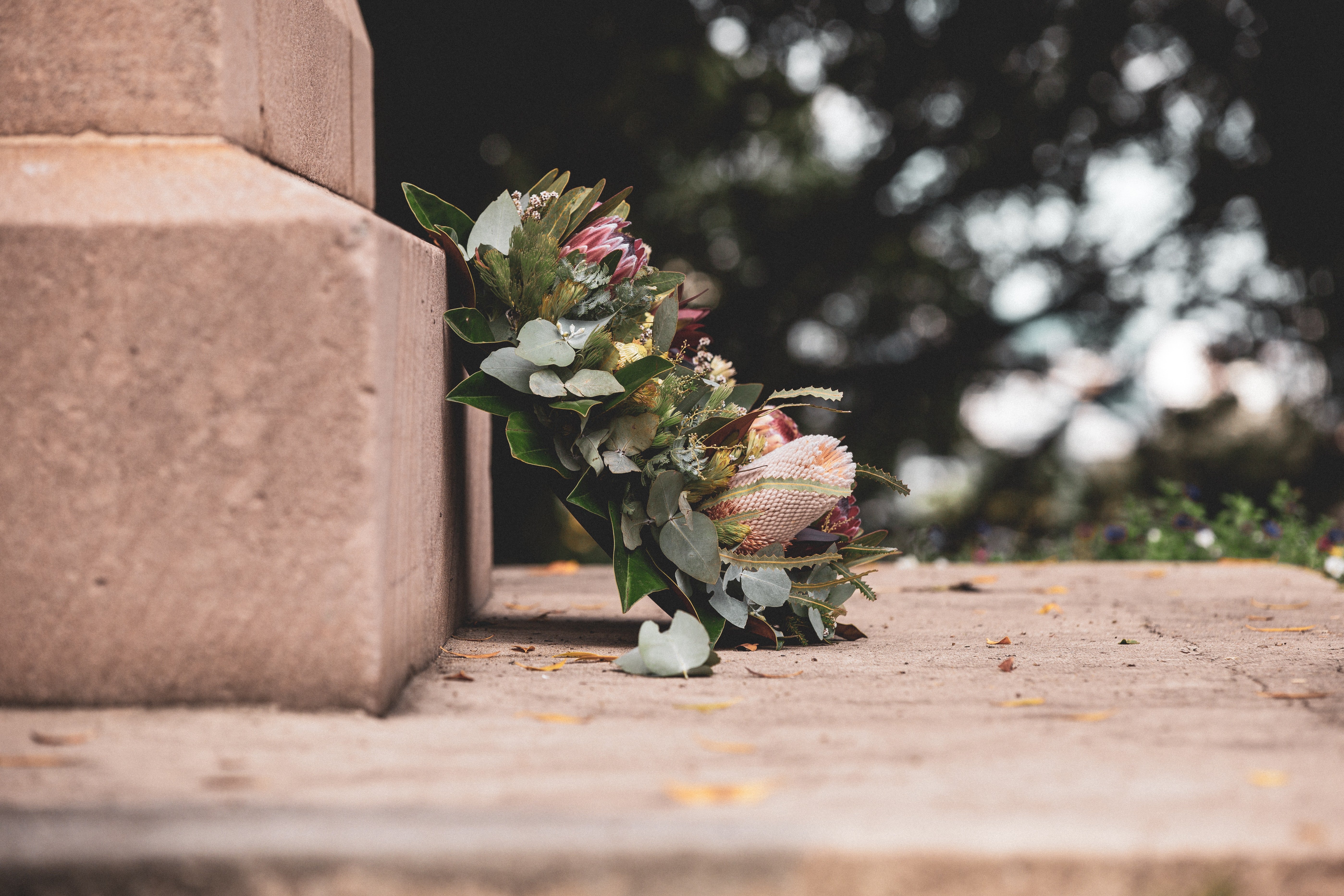 Thelma could not believe that her flowers had not only survived, but they were also in full bloom   | Source: Unsplash