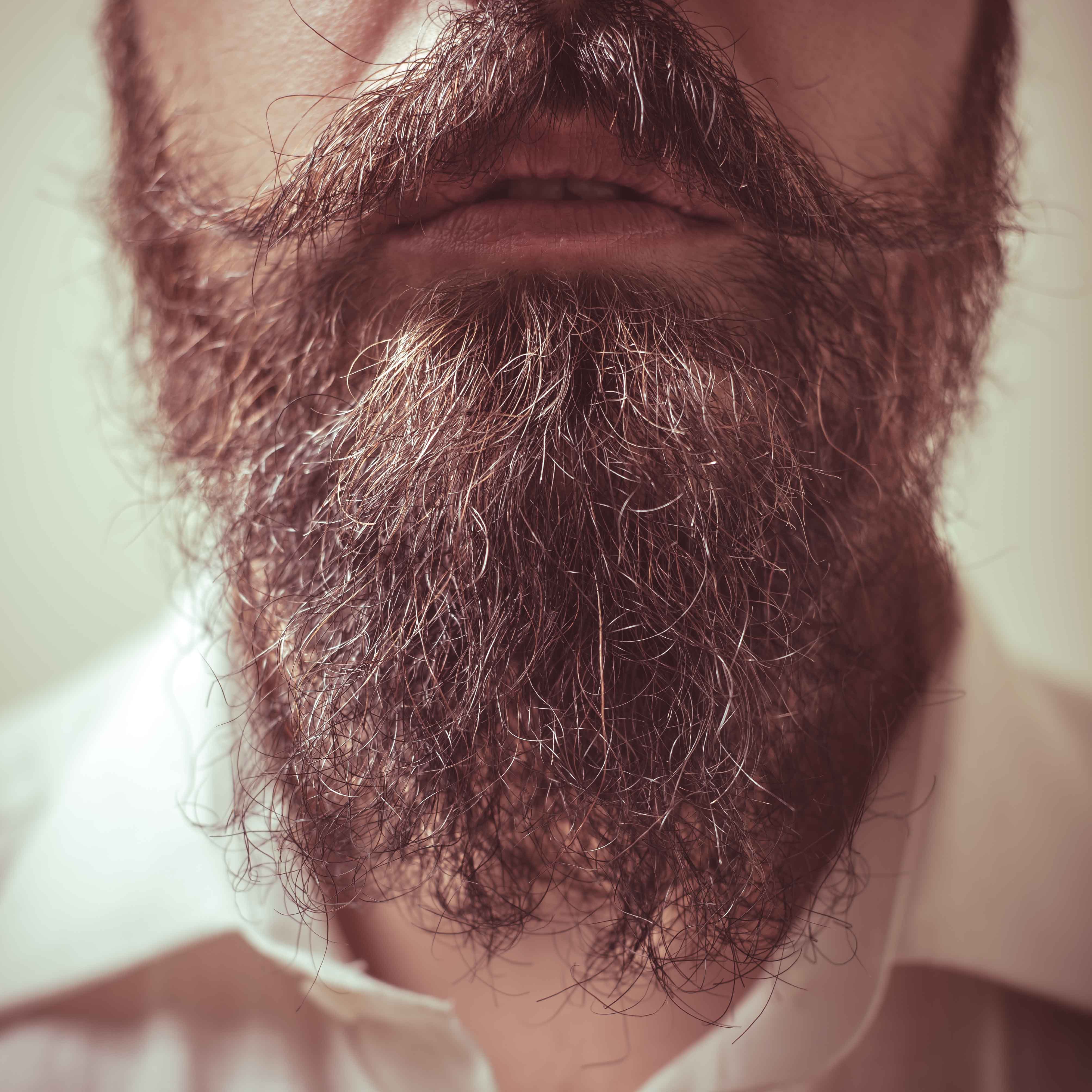 A beard up close | Source: Shutterstock