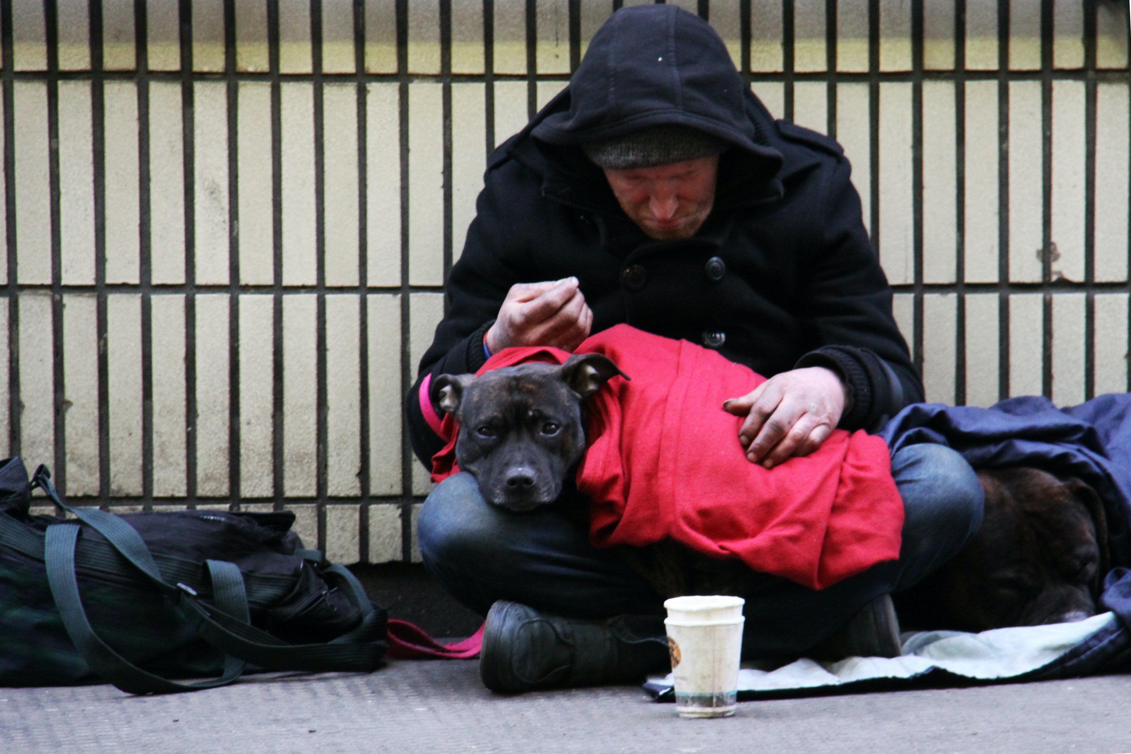 Un hombre sin hogar y su perro recostados en el suelo. | Foto: Unsplash