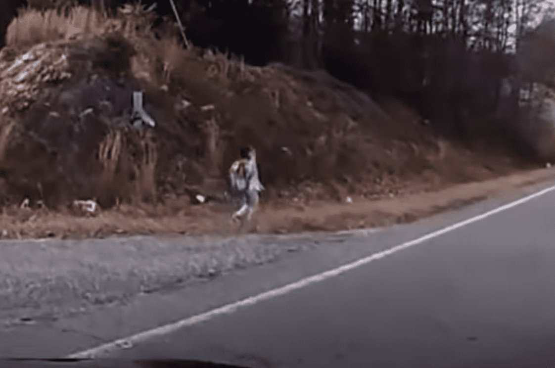Dash camera shows a little girl wandering a busy highway. | Source: youtube.com/Inside Edition