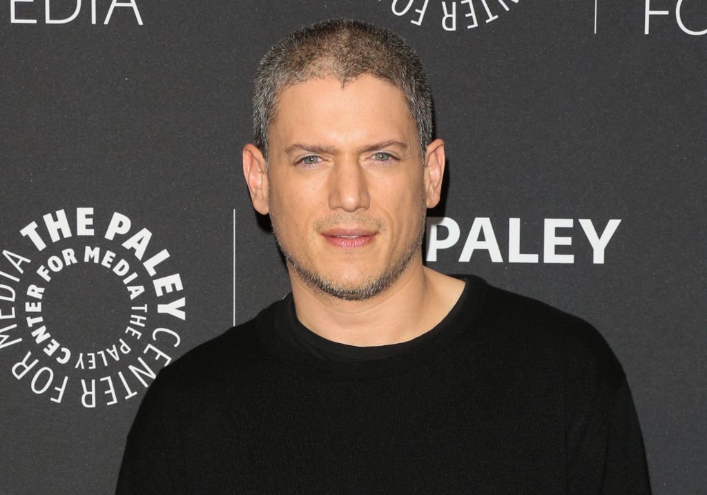 Wentworth Miller Came Out as Gay in 2013 — inside the 'Prison Break