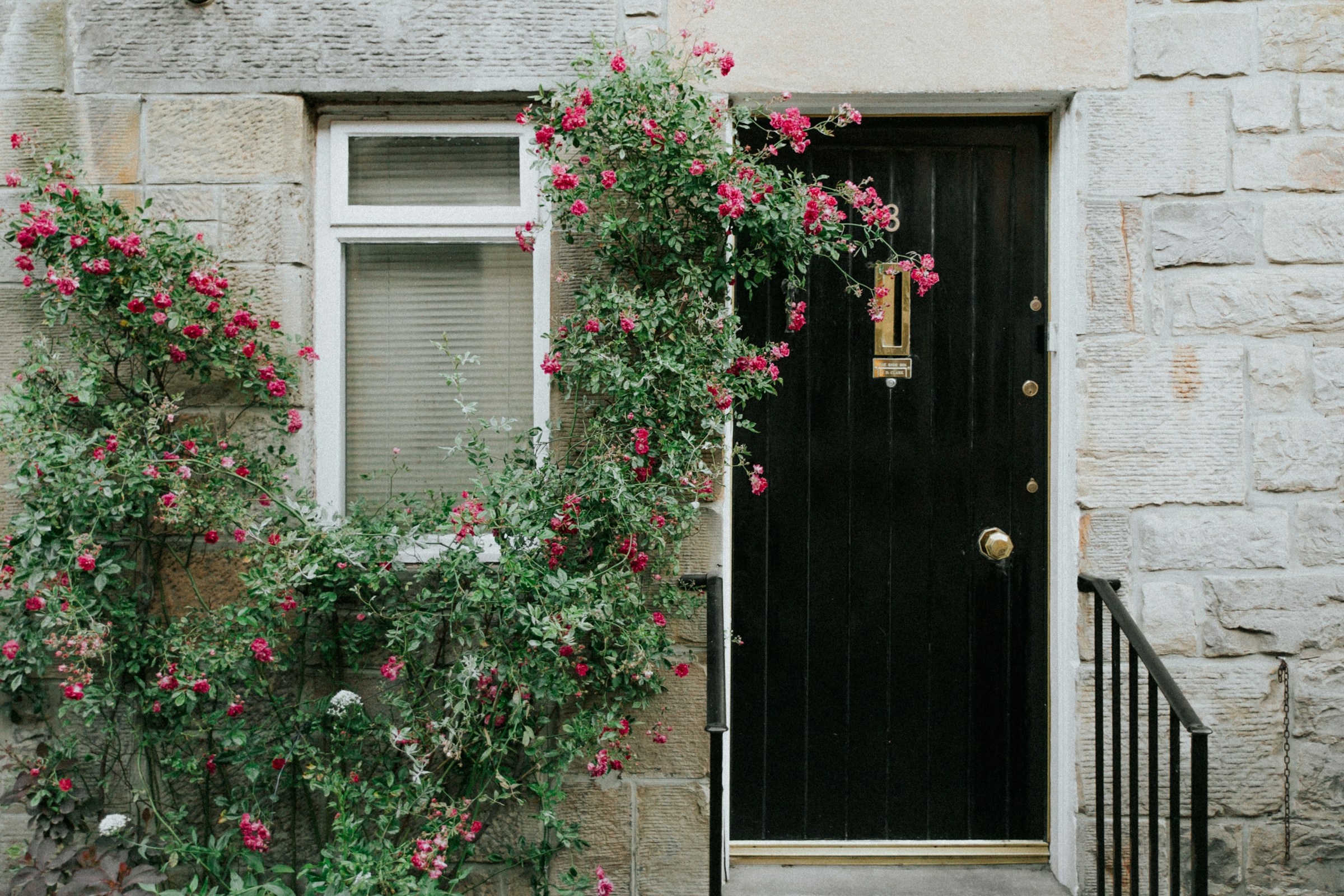 Vista da porta da frente de uma casa | Fonte: Unsplash