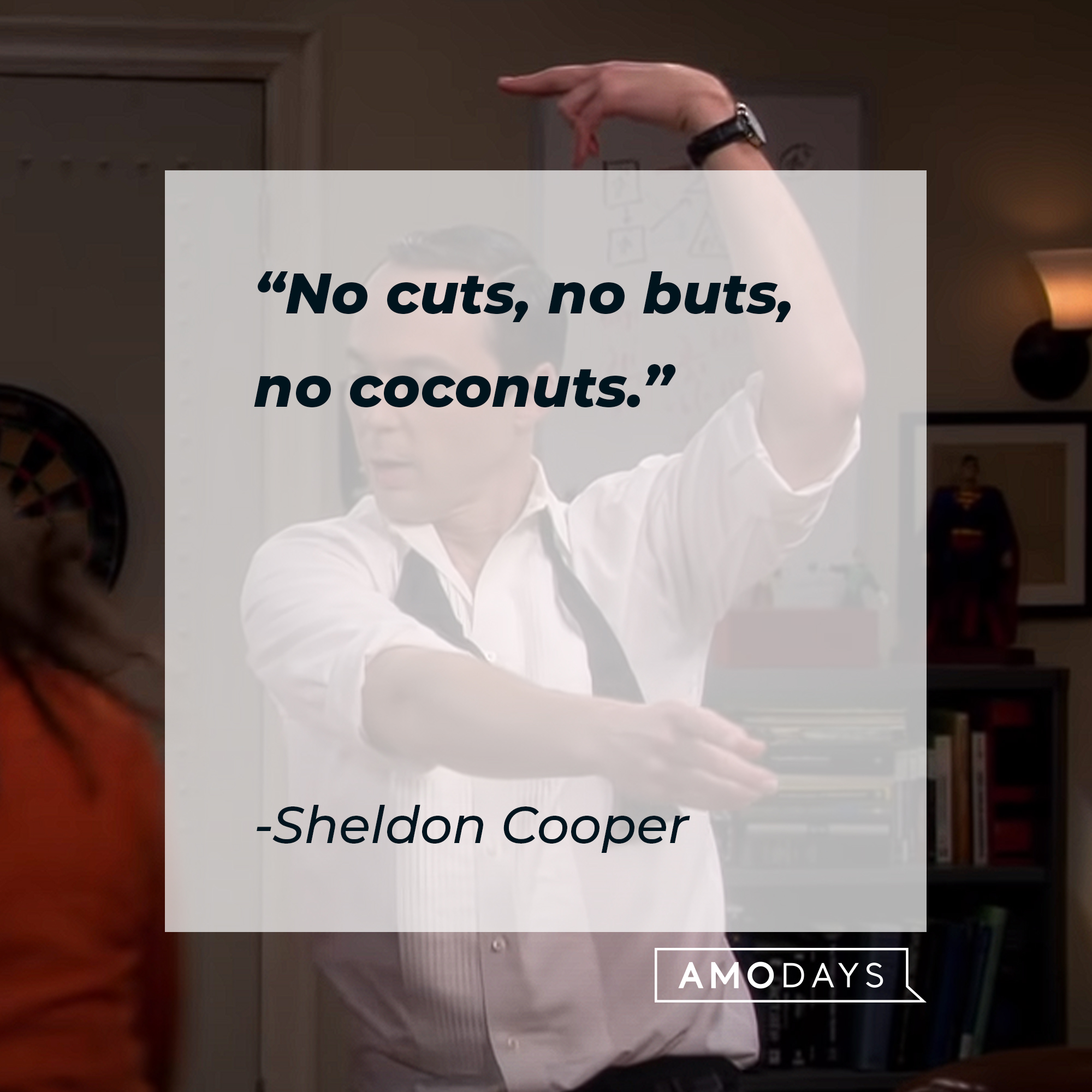 Sheldon Cooper's quote: "No cuts, no buts, no coconuts." — Sheldon Cooper