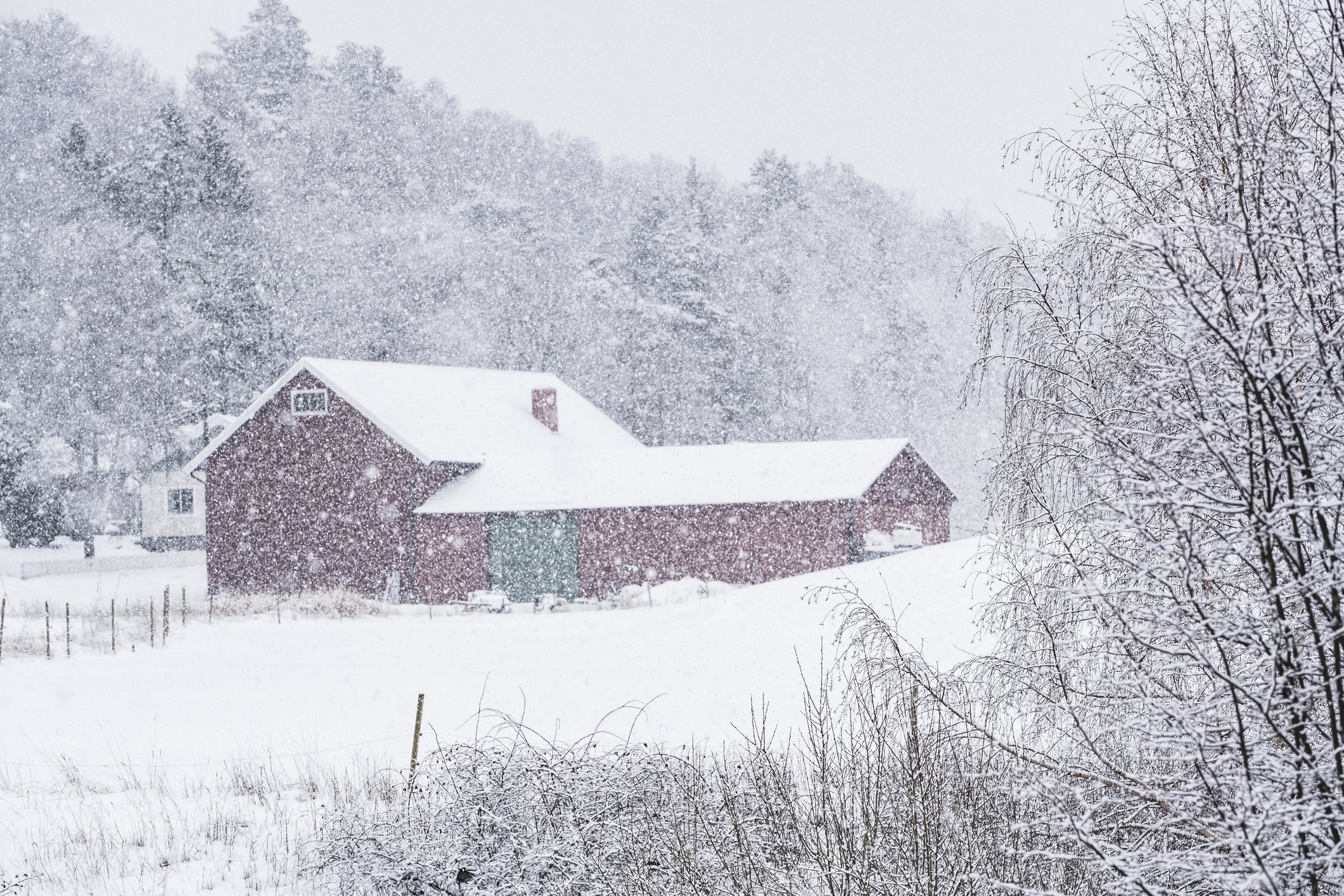 Foto des Landwirtschaftsgebäudes im Winter | Quelle: Getty Images
