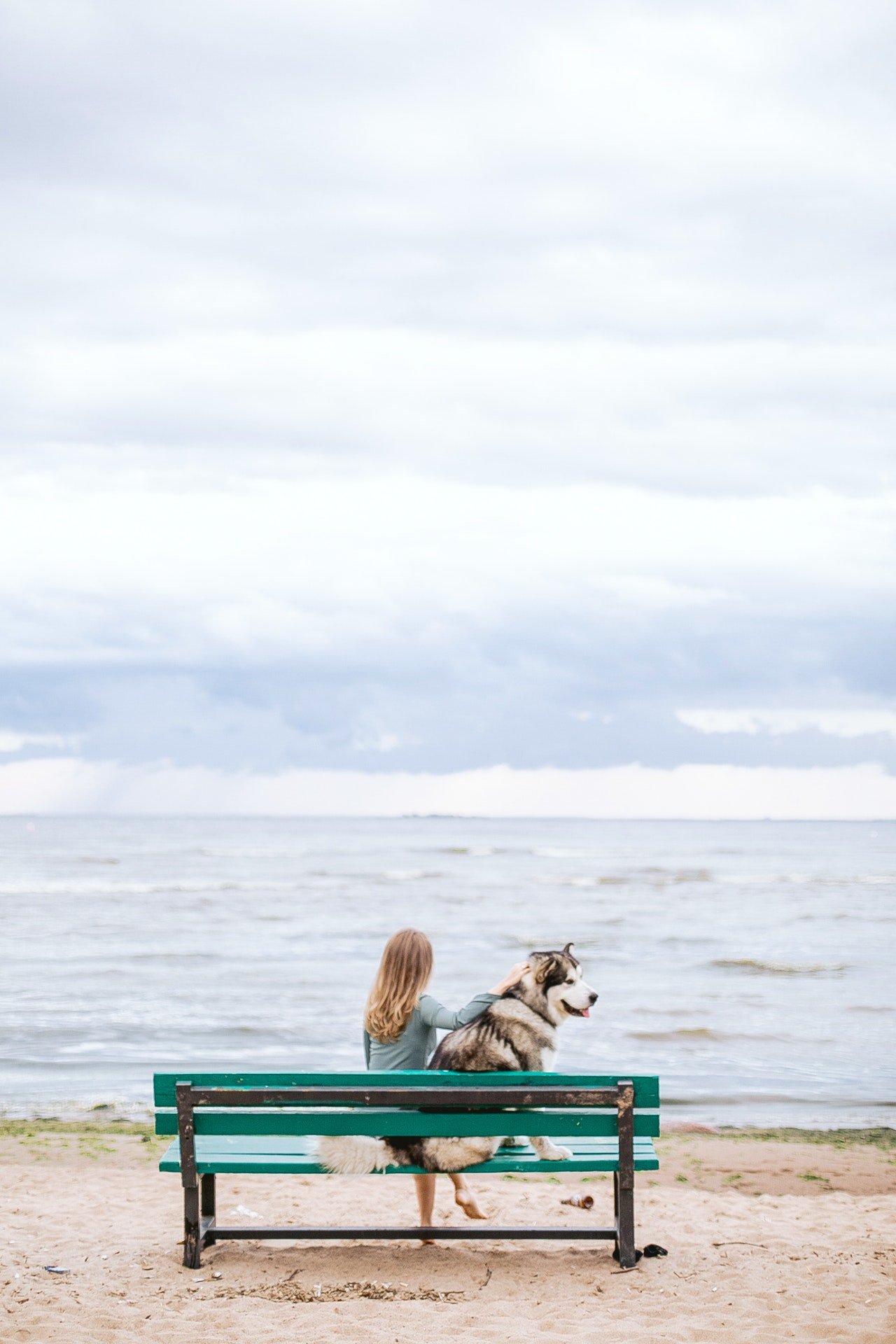 Woman sitting on a bench with her dog| Photo: La Miko from Pexels