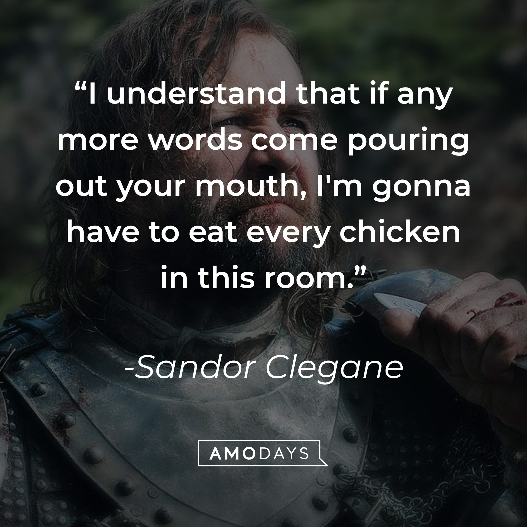Sandor Clegane's quote: "I understand that if any more words come pouring out your mouth, I'm gonna have to eat every chicken in this room." | Source: facebook.com/GameOfThrones