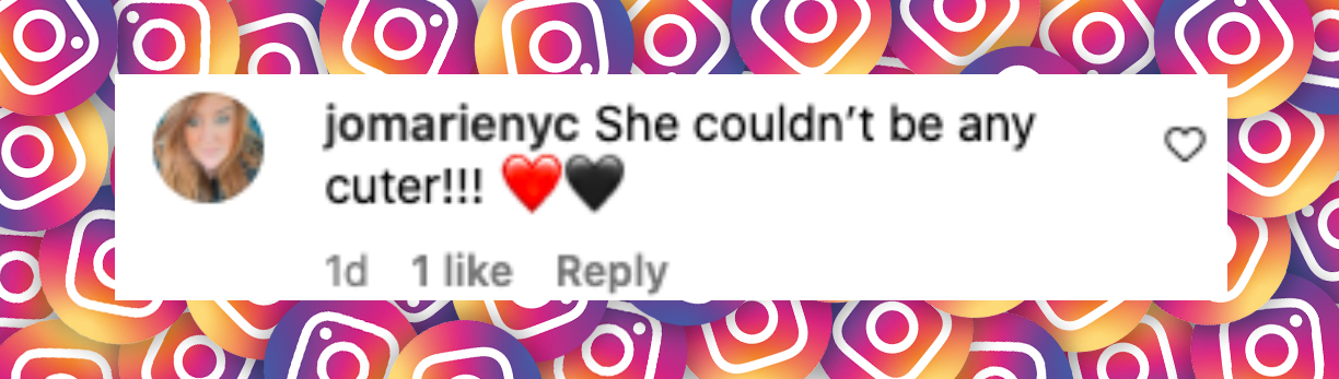 Fan comment about Dannielynn Birkhead, posted on August 27, 2024 | Source: Instagram/larryanddannielynn