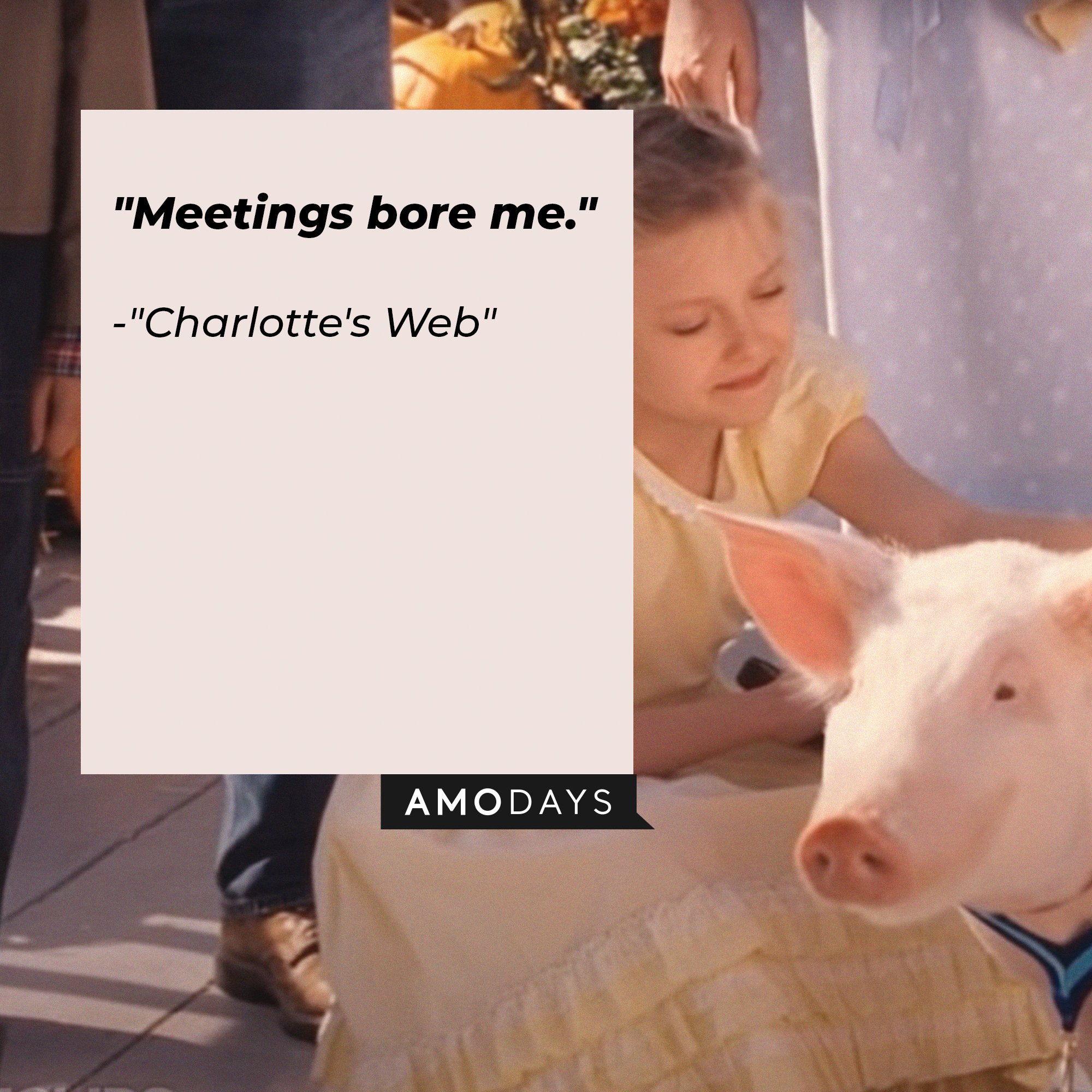 Charlotte's Web quote: "Meetings bore me." | Image: AmoDays