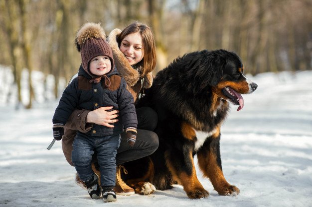 Une mère embrasse son fils. | Photo : Freepik Une mère embrasse son fils. | Photo : Freepik
