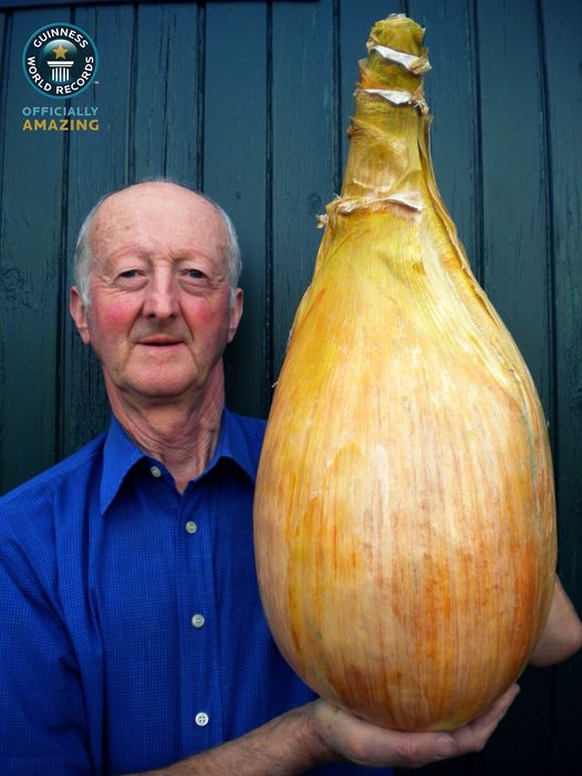 The world's heaviest potato grown by Peter Glazebrook in 2012. | Source: facebook.com/Guinness World Records