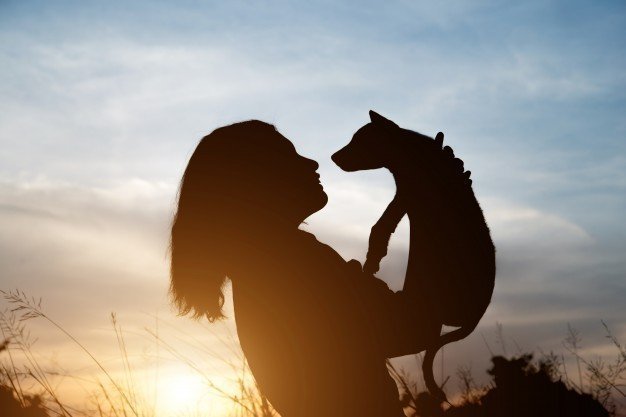 Imagen tomada de: Freepik Imagen tomada de: Freepik
