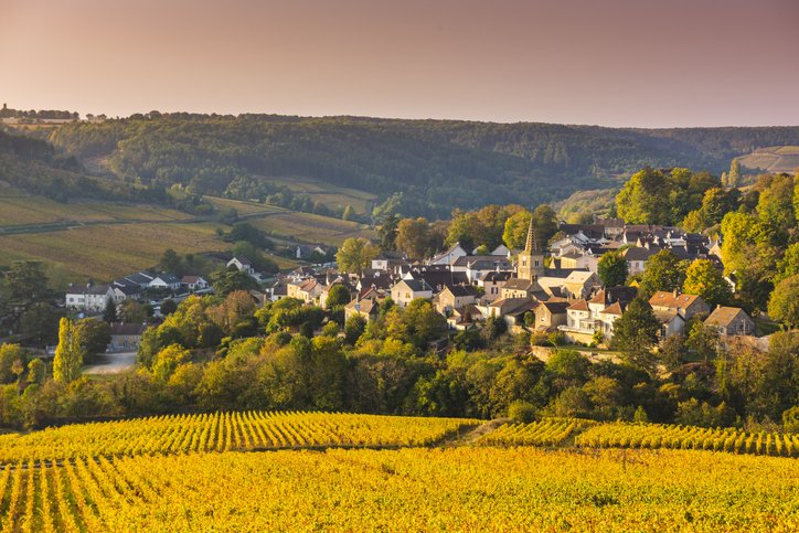 Vignobles de Bourgogne en automne, Pernand-Vergelesses, France. І Sources : Getty Images
