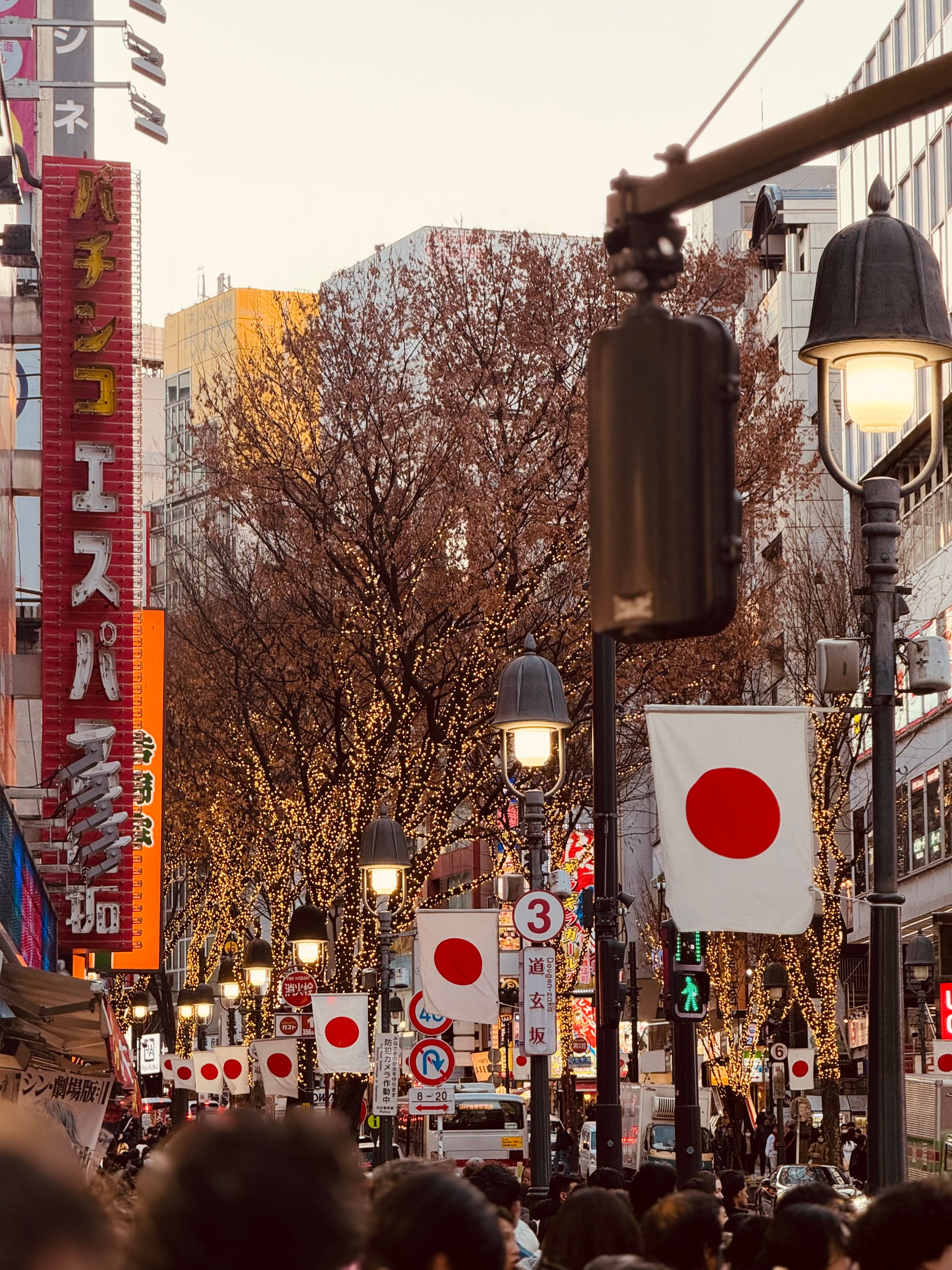 Pedestrians walk through a bustling shopping district in Japan decorated with national flags and seasonal lights. | Source: Pexels