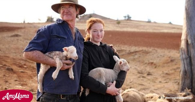 Kind donations saved farmer from having to shoot 1,200 sheep that he couldn't afford to feed