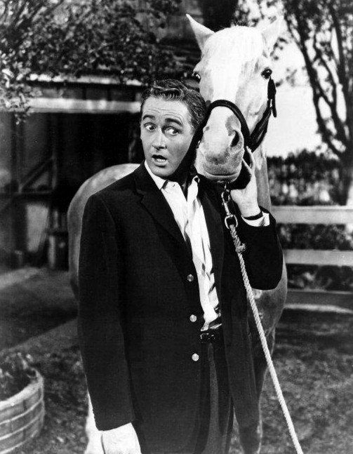 Photo of Alan Young as Wilbur Post and Mister Ed from the television program "Mister Ed," circa 1950s. | Photo: Wikimedia Commons