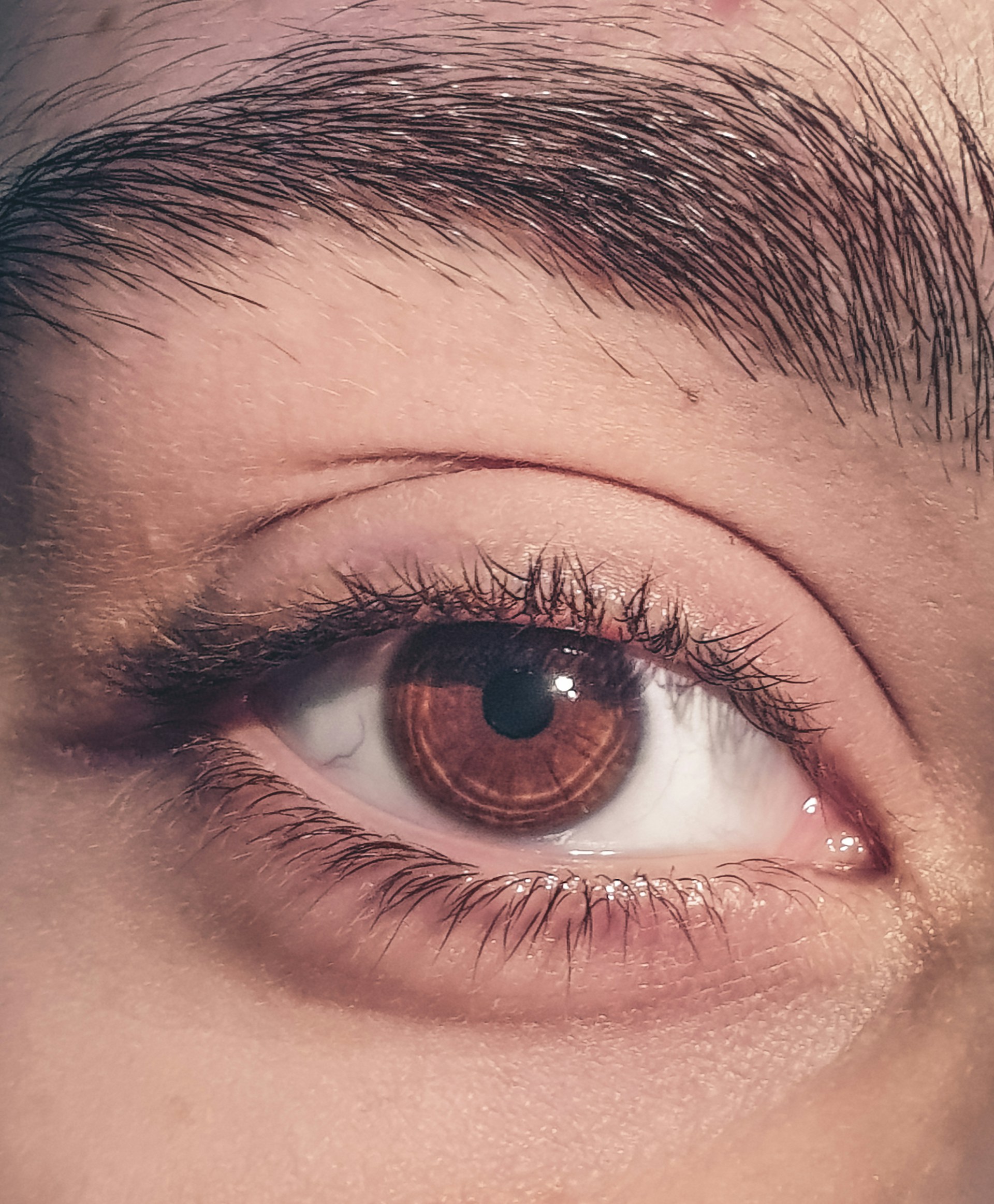 A close-up of brown eyes | Source: Unsplash