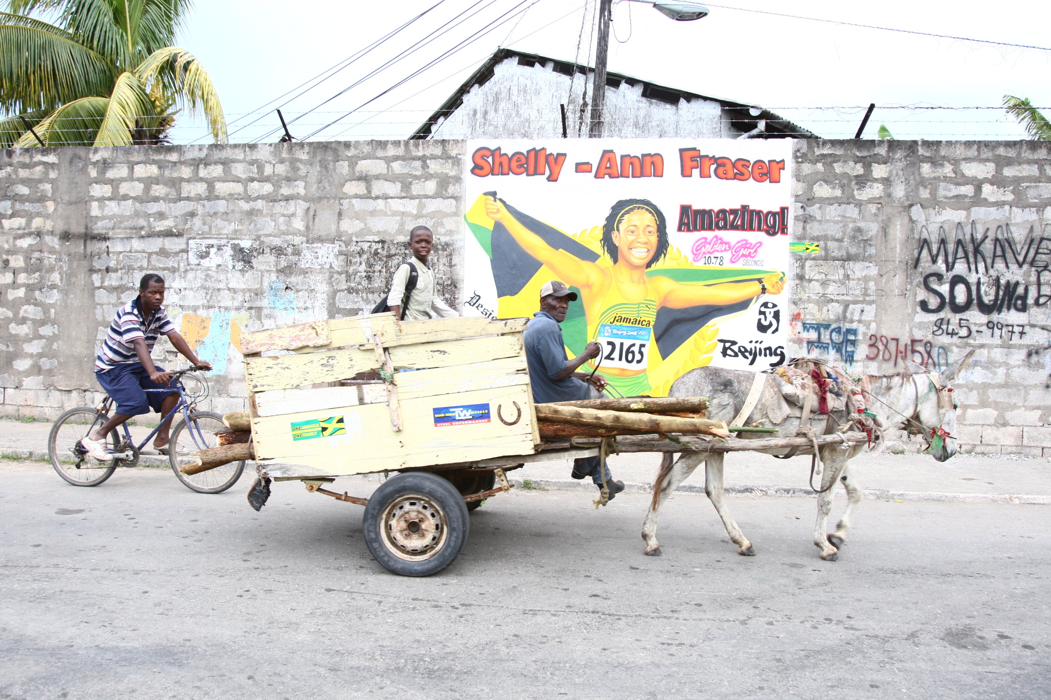 A view of mural of Shelly-Ann Fraser pictured on Ashoka Road in Moscow section of Waterhouse neighborhood on September 17, 2008, in Kingston, Jamaica. | Source: Getty Images