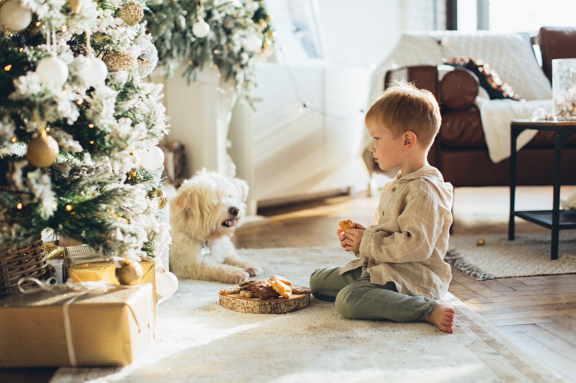 Un niño y su perro frente al árbol de navidad. | Foto: Pexels