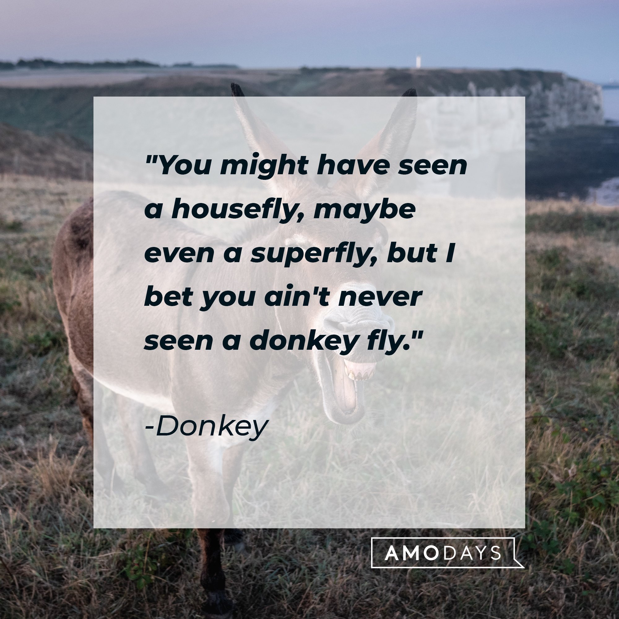 Donkey's quote: "You might have seen a housefly, maybe even a superfly, but I bet you ain't never seen a donkey fly." | Image: AmoDays