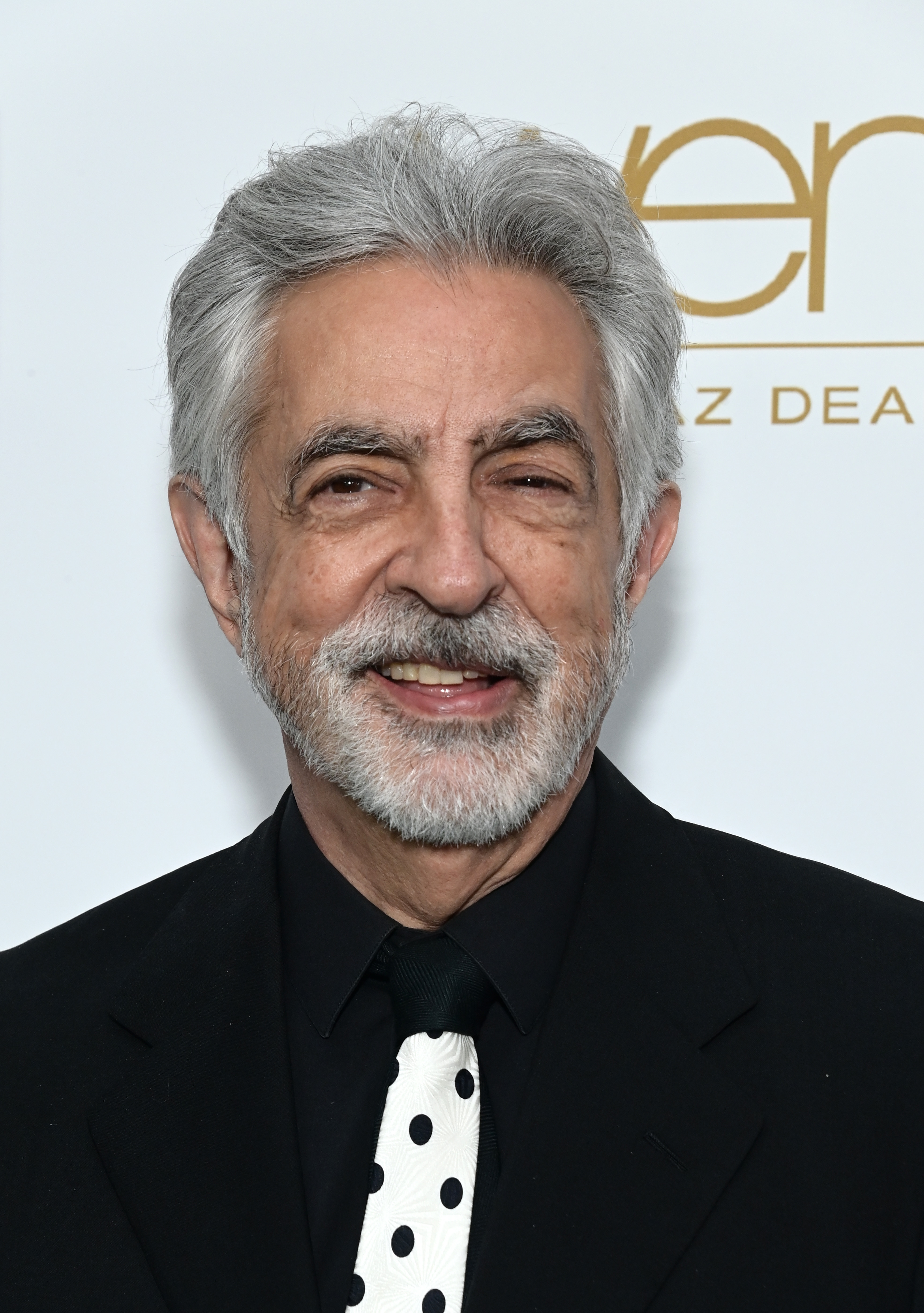 Joe Mantegna at the 8th Annual Hollywood Beauty Awards in Los Angeles, California on March 9, 2023 | Source: Getty Images