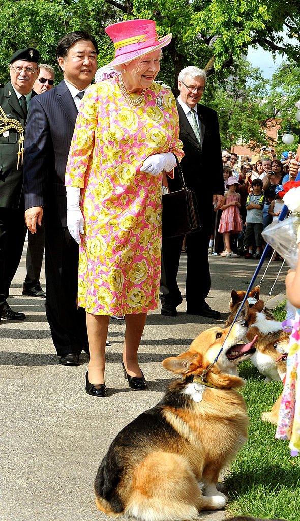 La reine Elizabeth II discute avec des propriétaires de chiens corgi alors qu'elle quitte le Government House, où elle a dévoilé une statue d'elle-même le 3 juillet 2010 à Winnipeg, au Canada. | Photo : Getty Images