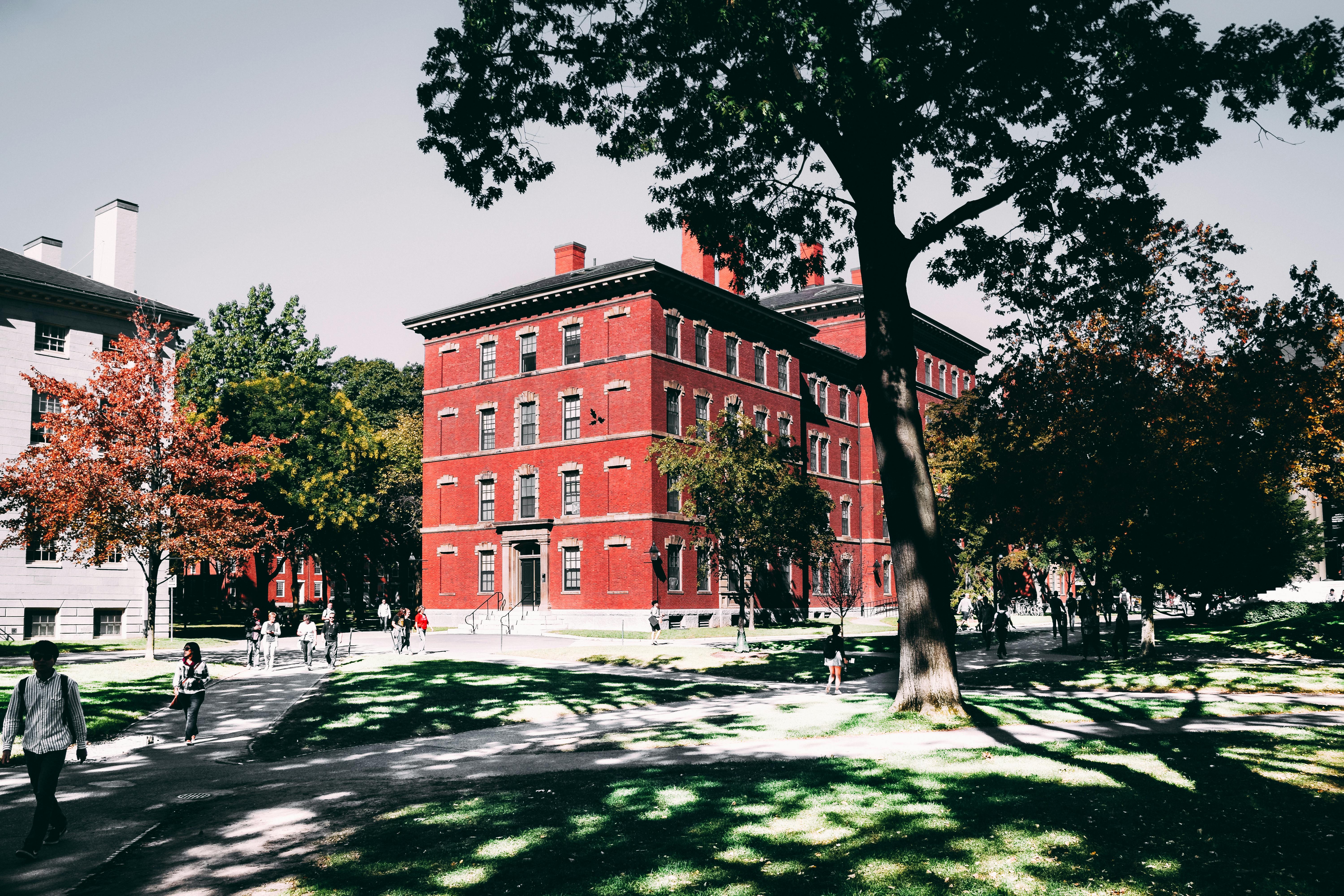 A school campus. For illustration purposes only | Source: Pexels