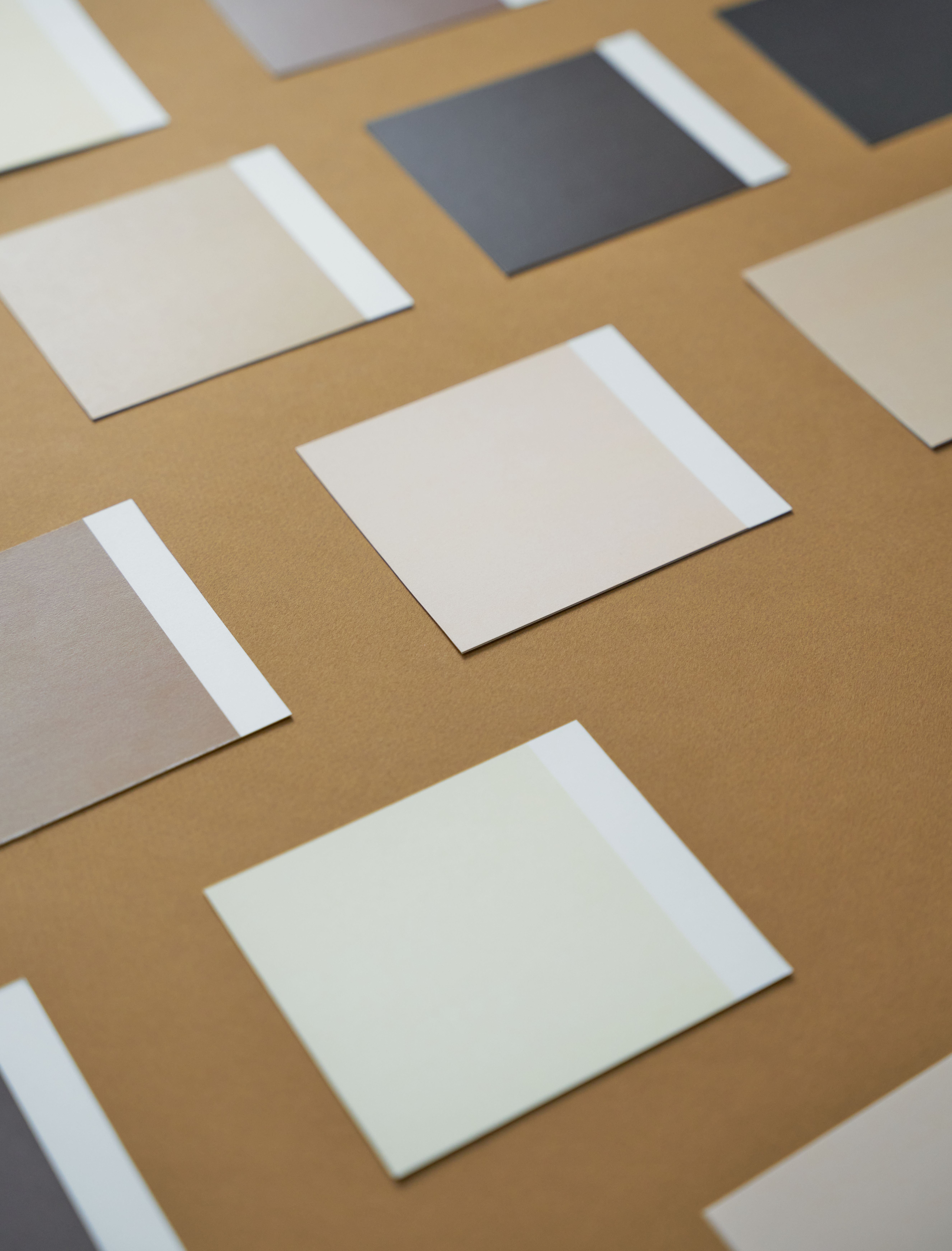 Swatches of warm and cool neutrals | Source: Pexels