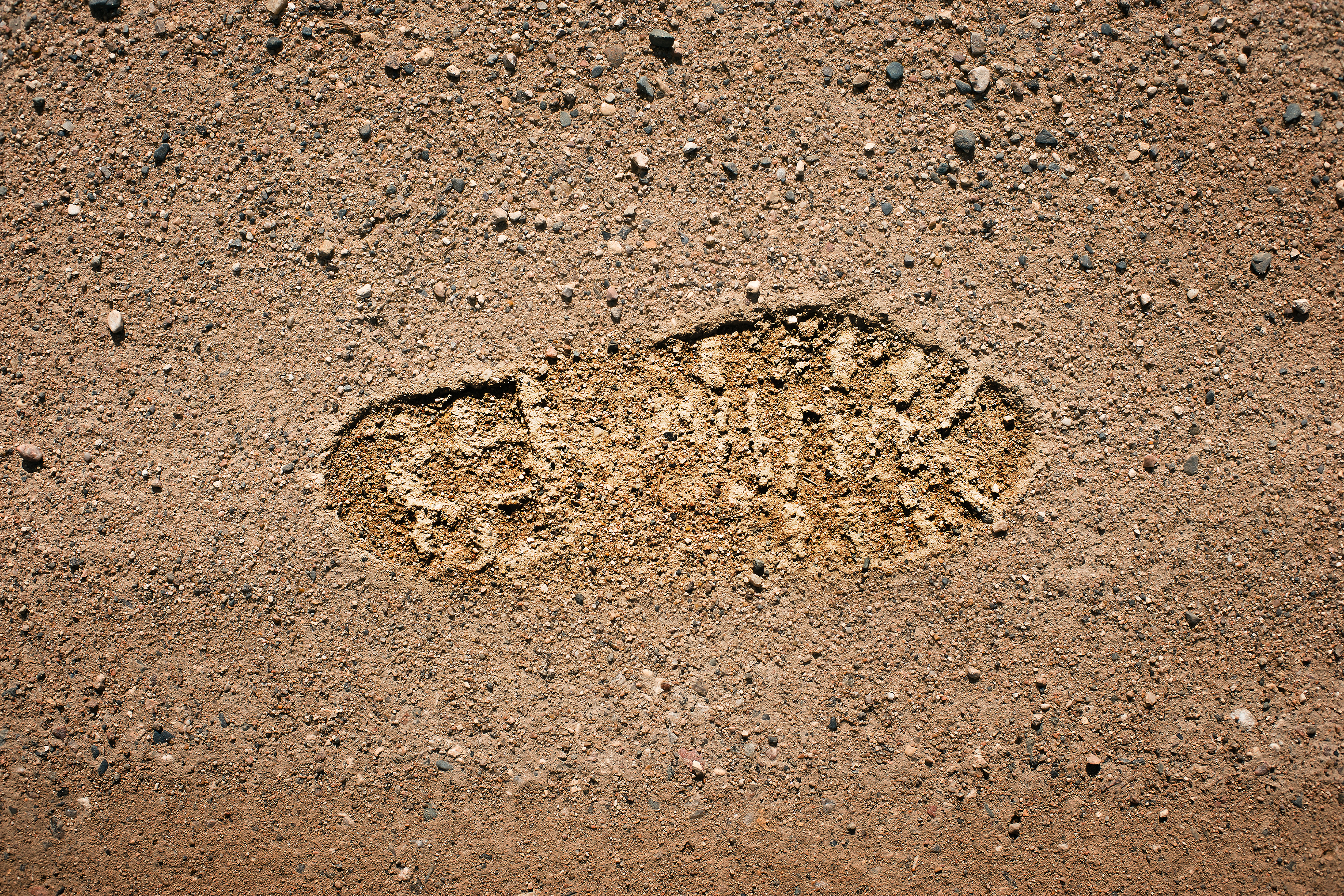Footprint of shoe or boot on the dry soil. | Source: Shutterstock
