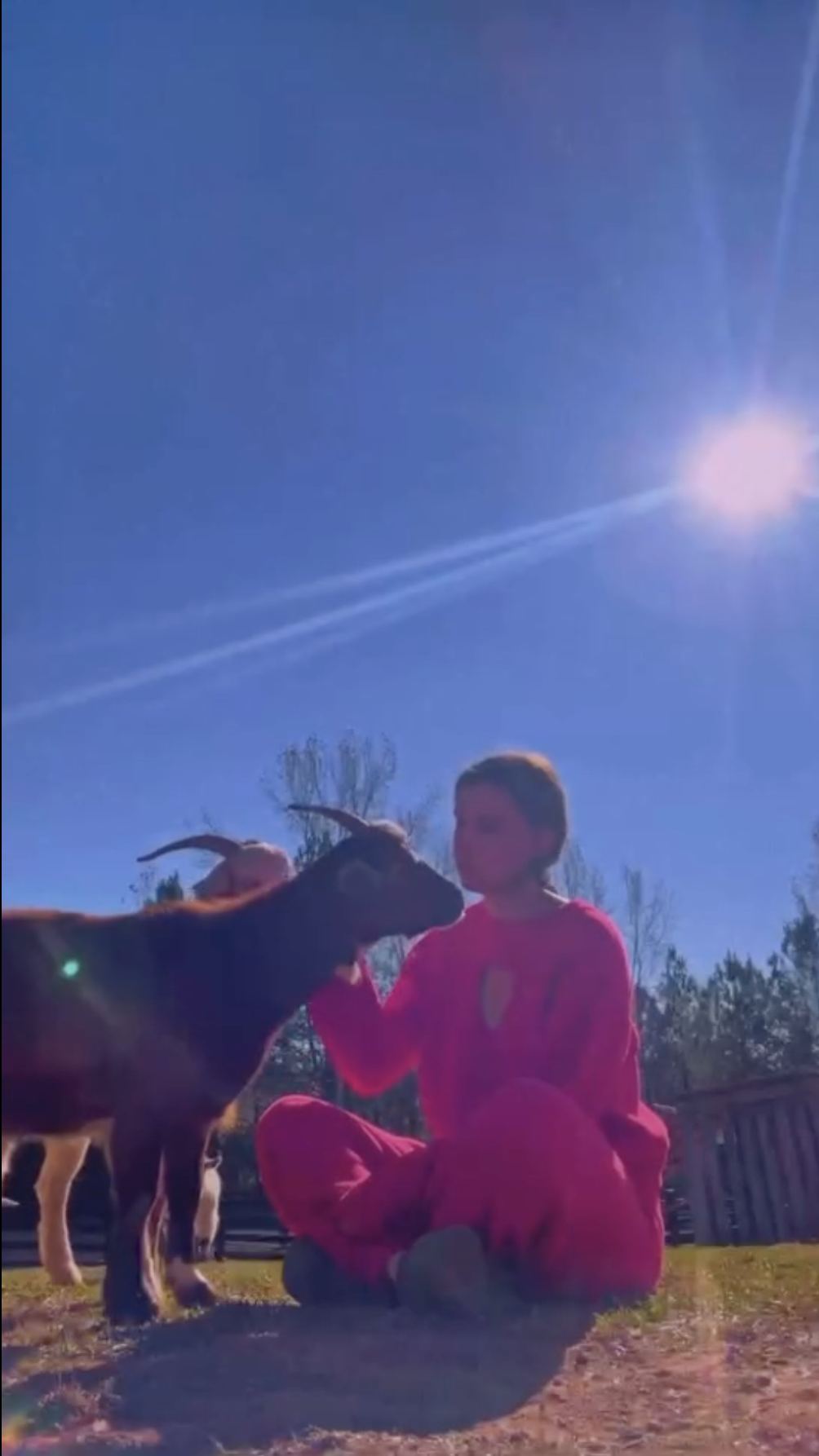 Millie Bobby Brown Bongiovi with her farm animals from a post dated December 8, 2024. | Source: Instagram/milliebobbybrown