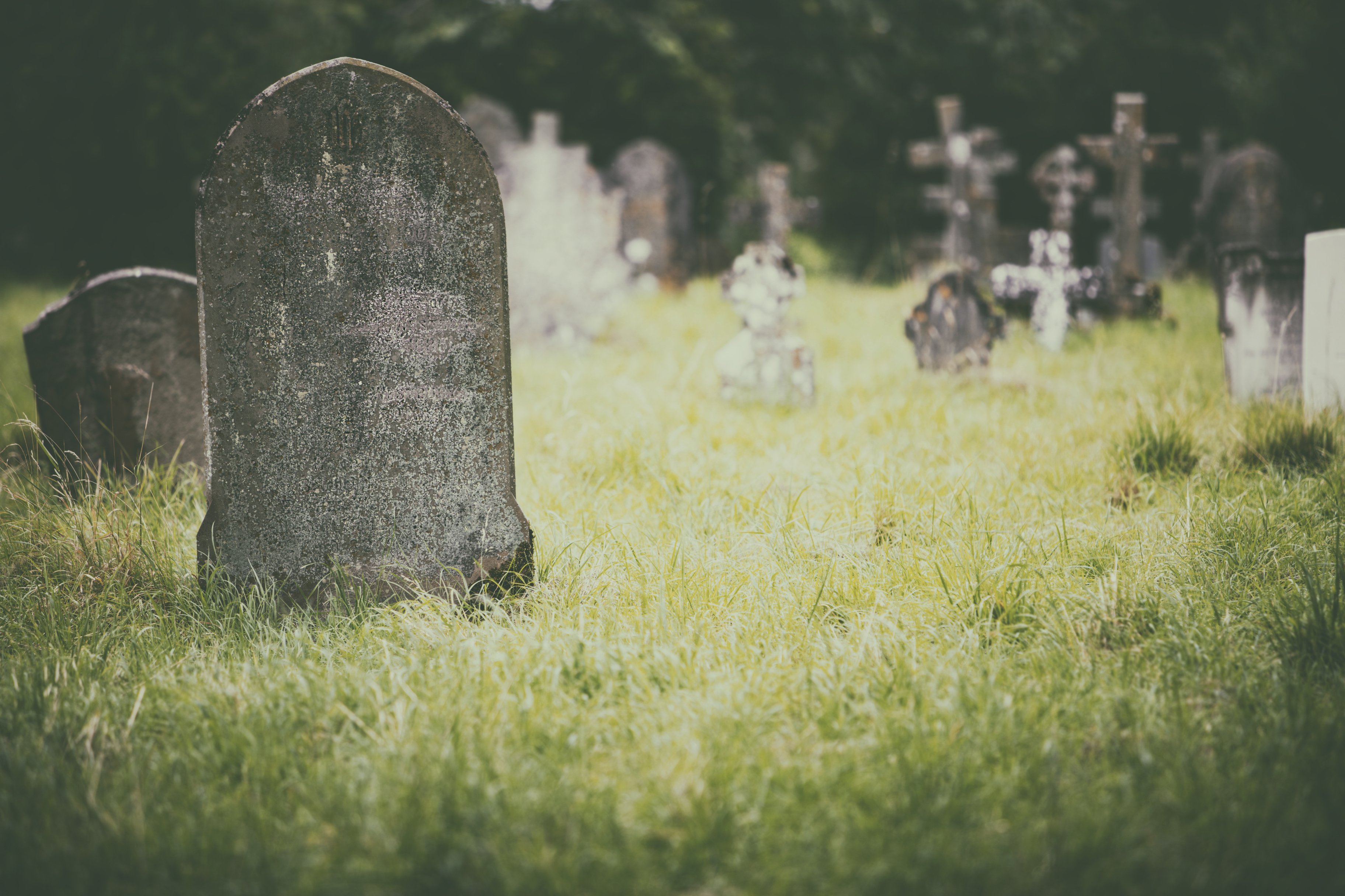 Tumbas en cementerio. | Foto: Shutterstock