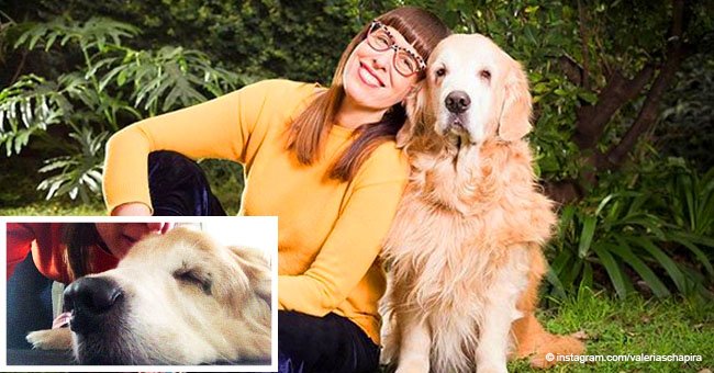 Heartbreaking video of woman singing to her dog as he dies moves the internet