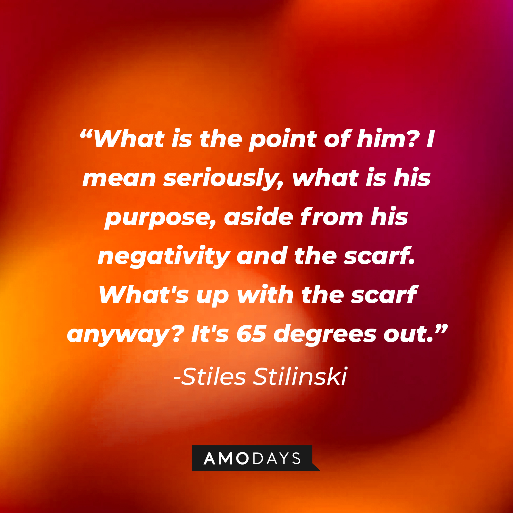 Stiles Stilinski's quote: "What is the point of him? I mean seriously, what is his purpose, aside from his negativity and the scarf. What's up with the scarf anyway? It's 65 degrees out." | Image: AmoDays