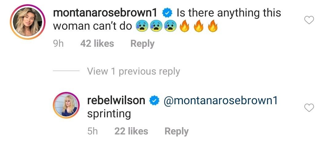 Screenshot of comment from Rebel Wilson's Instagram post on September 28. | Photo: Instagram/Rebel Wilson