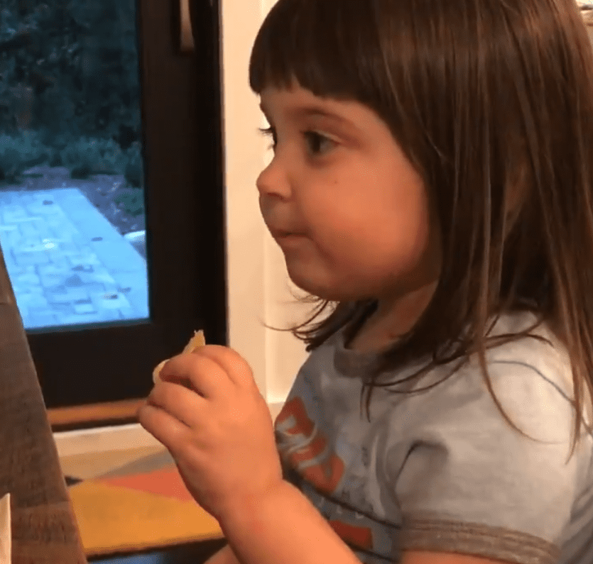 Little girl tasting a salt and vinegar chip for the first time, as shown in the video posted to Twitter on October 3. | Photo: Twitter/Laura Portwood-Stacer, PhD