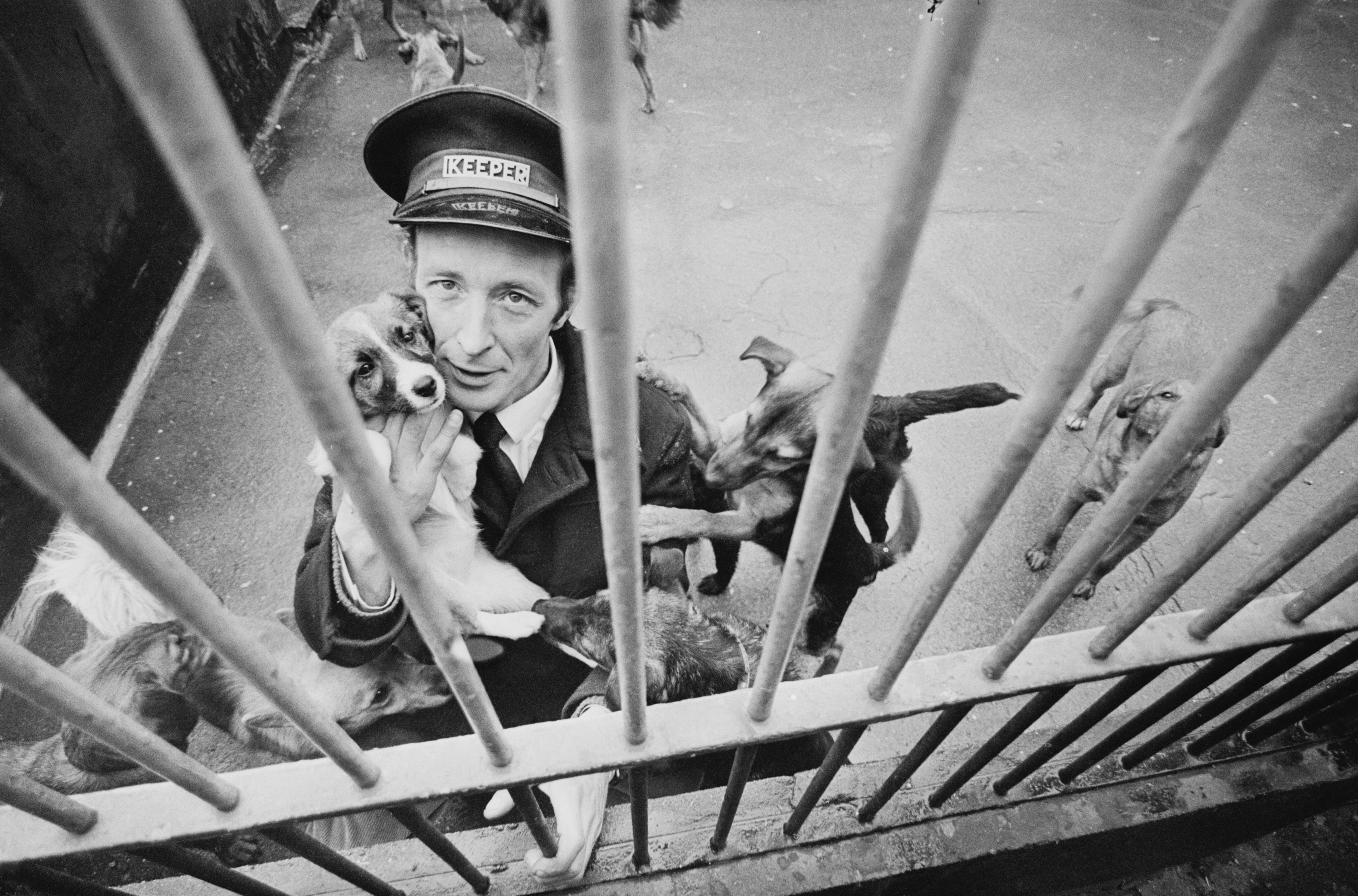 Charles Levin, best known for the role of Elliot Novak on the series "Alice" | Photo: Getty Images